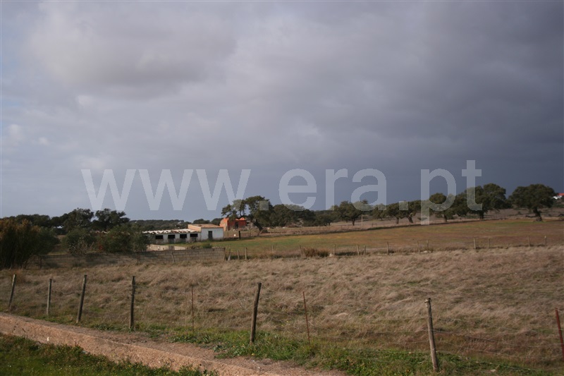 Terreno  Almodôvar, Rosário - 1216640 - 8