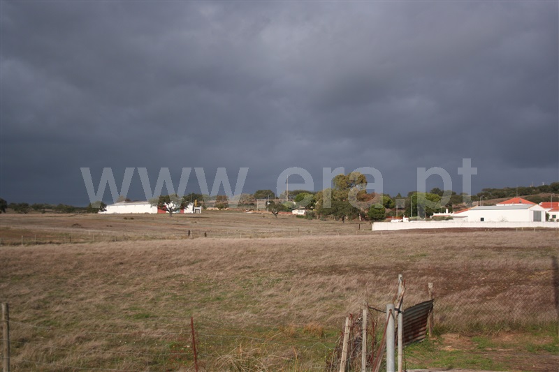Terreno  Almodôvar, Rosário - 1216640 - 9