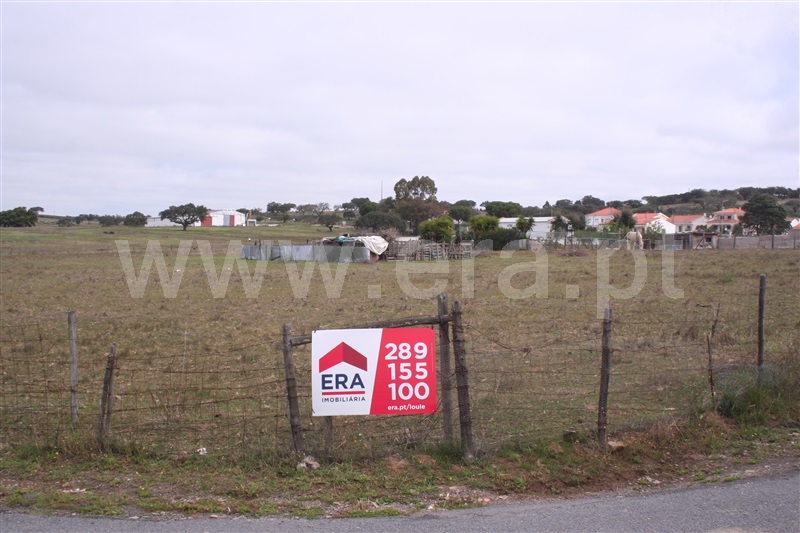 Terreno / Almodôvar, Rosário