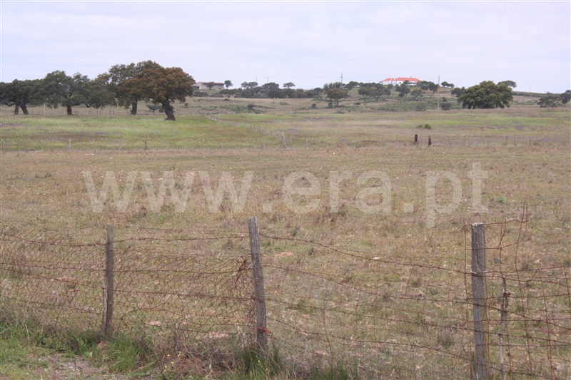 Terreno  Almodôvar, Rosário - 1216640 - 25
