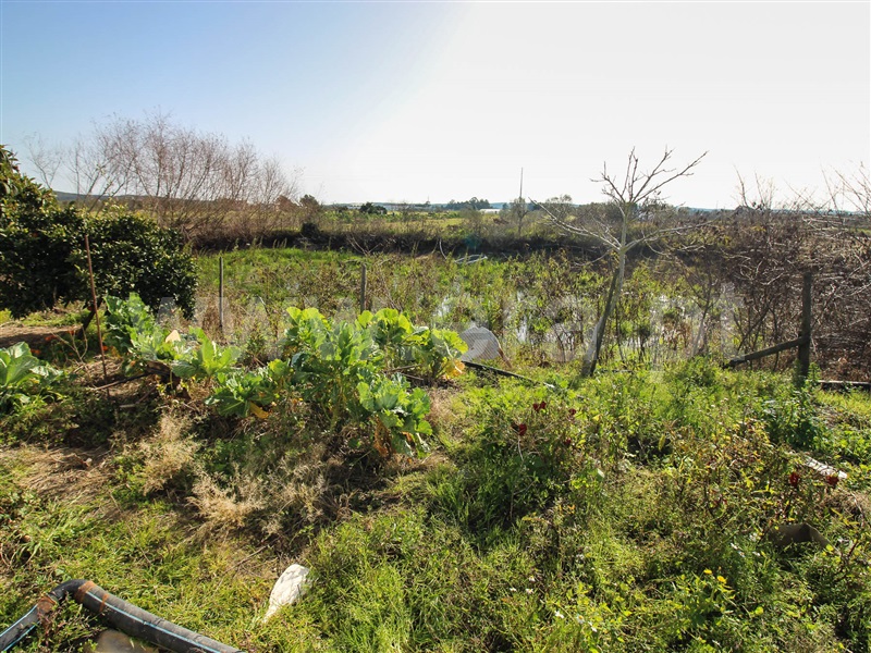 Terreno  Alpiarça - 1223644 - 5