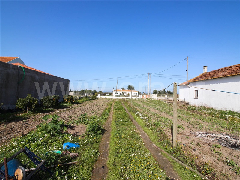 Terreno  Alpiarça - 1223644 - 6