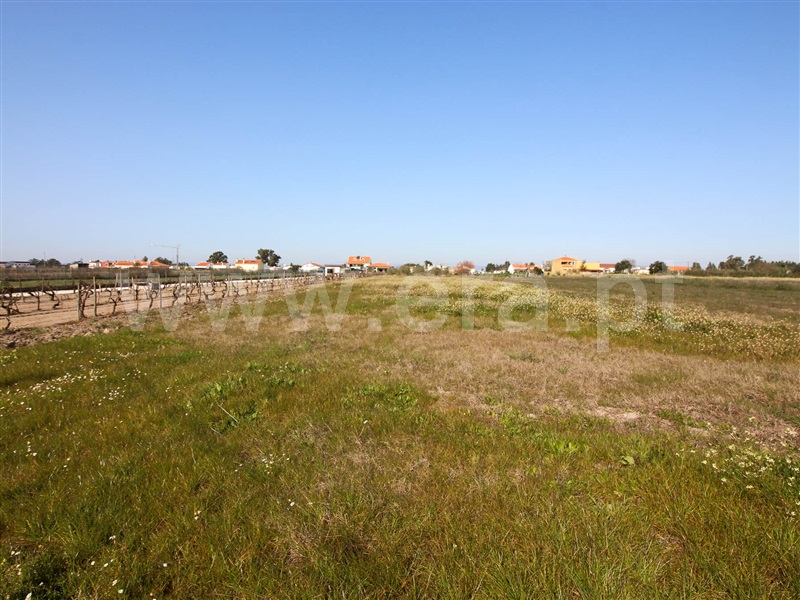 Terreno  Alpiarça - 1223644 - 10