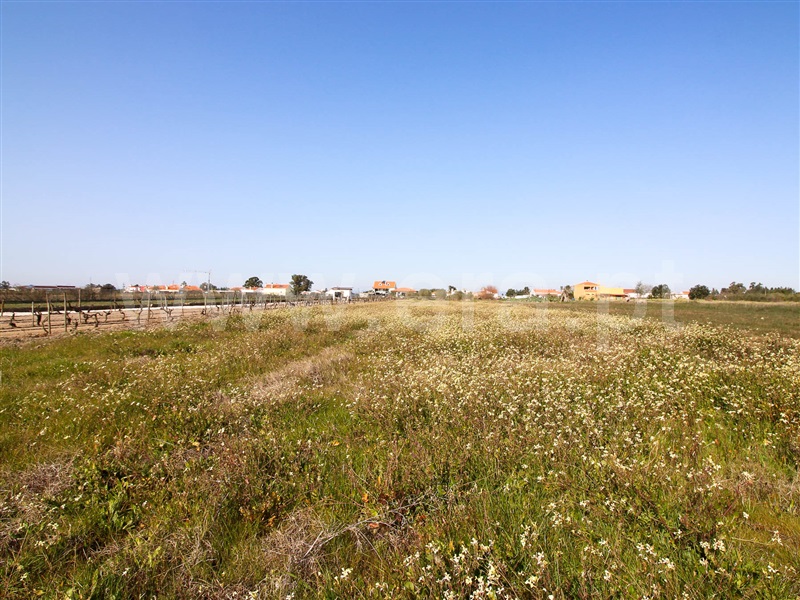 Terreno  Alpiarça - 1223644 - 11
