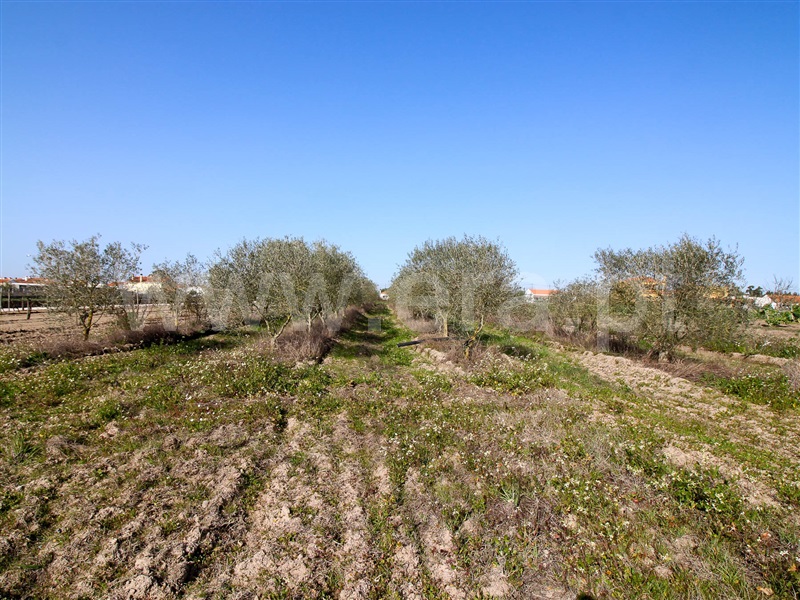 Terreno  Alpiarça - 1223644 - 14