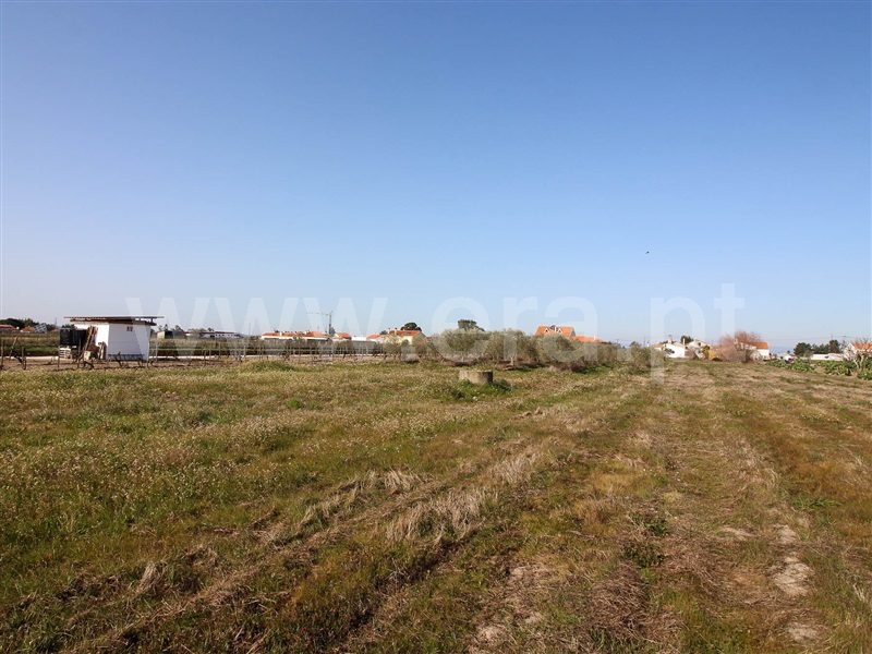 Terreno  Alpiarça - 1223644 - 19