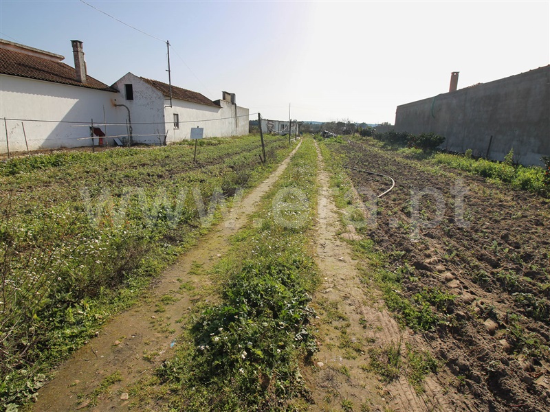 Terreno  Alpiarça - 1223644 - 21