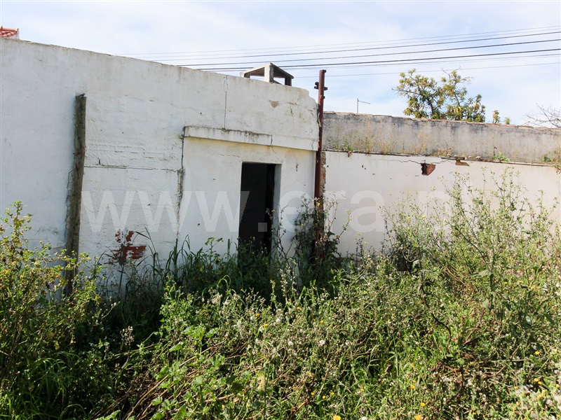 Terreno  Alpiarça - 1400327 - 4