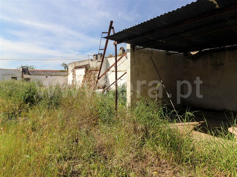 Terreno  Alpiarça - 1400327 - 7