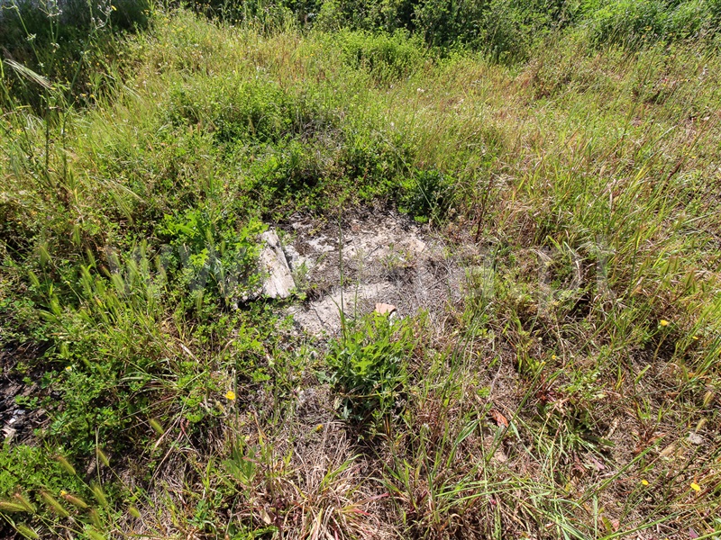 Terreno  Alpiarça - 1400327 - 8