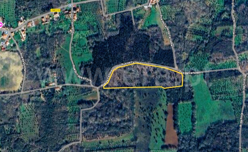 Terreno / Alvaiázere, Pussos São Pedro