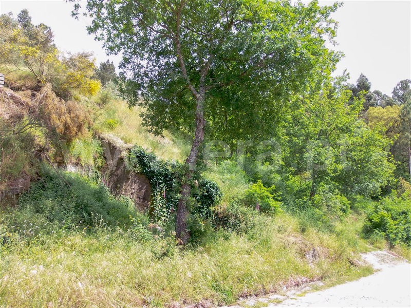 Terreno  Amarante, Aboadela, Sanche e Várzea - 1010133 - 3