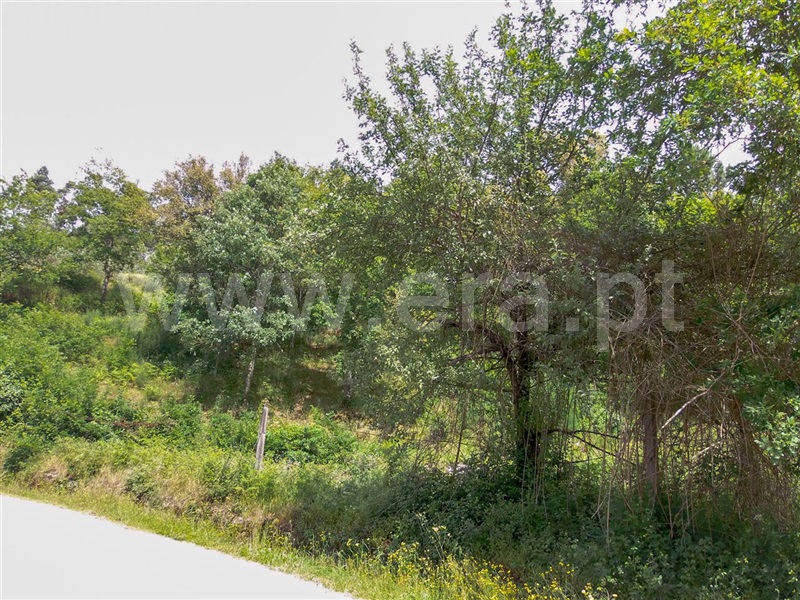 Terreno  Amarante, Aboadela, Sanche e Várzea - 1010133 - 4