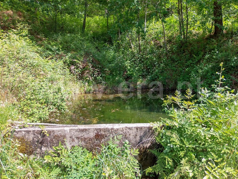 Terreno  Amarante, Aboadela, Sanche e Várzea - 1010133 - 2