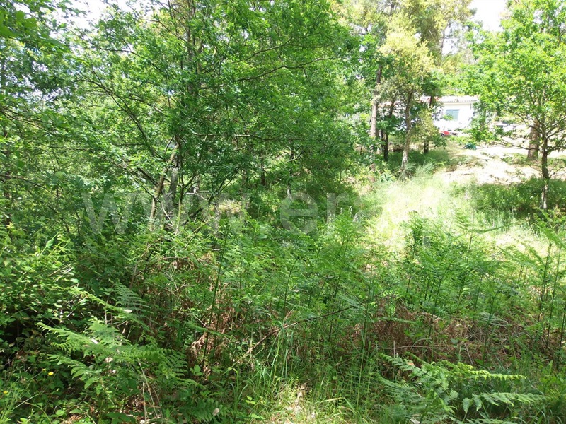 Terreno  Amarante, Aboadela, Sanche e Várzea - 1010133 - 8