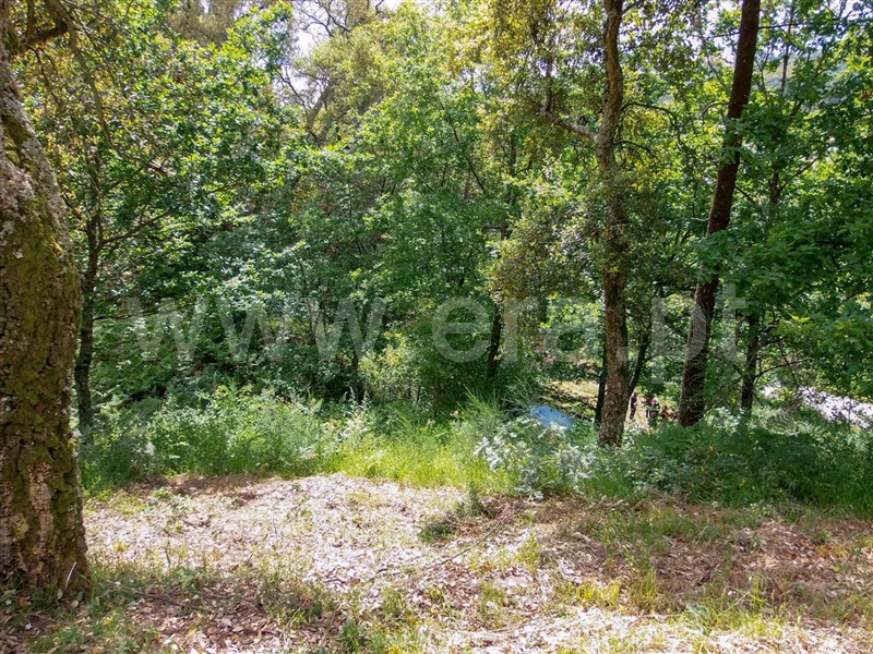Terreno  Amarante, Aboadela, Sanche e Várzea - 1010133 - 10