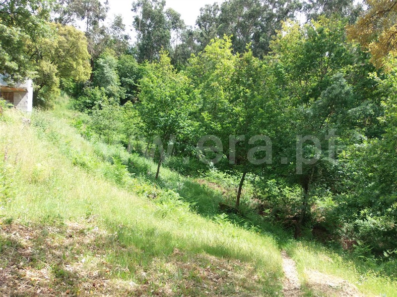 Terreno  Amarante, Aboadela, Sanche e Várzea - 1010133 - 11