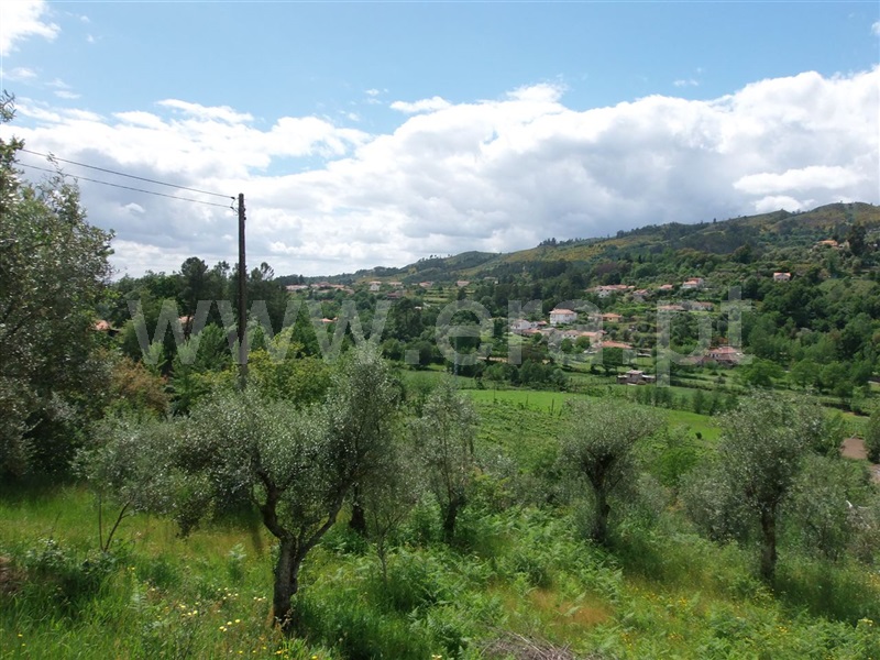 Terreno  Amarante, Aboadela, Sanche e Várzea - 1010133 - 13
