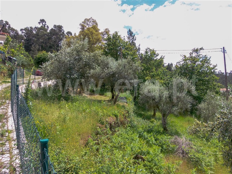 Terreno  Amarante, Aboadela, Sanche e Várzea - 1010133 - 14