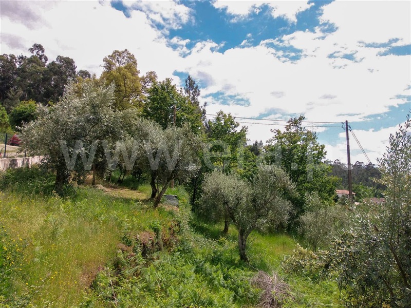 Terreno  Amarante, Aboadela, Sanche e Várzea - 1010133 - 15