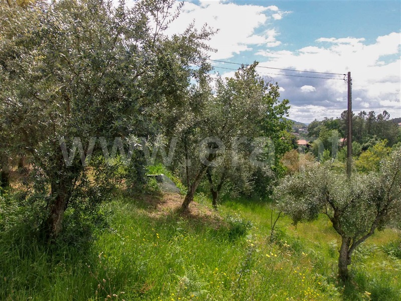 Terreno  Amarante, Aboadela, Sanche e Várzea - 1010133 - 16