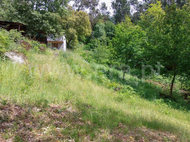 Terreno / Amarante, Aboadela, Sanche e Várzea