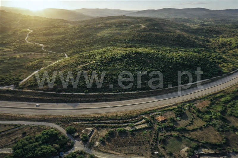 Terreno / Amarante, Aboadela, Sanche e Várzea