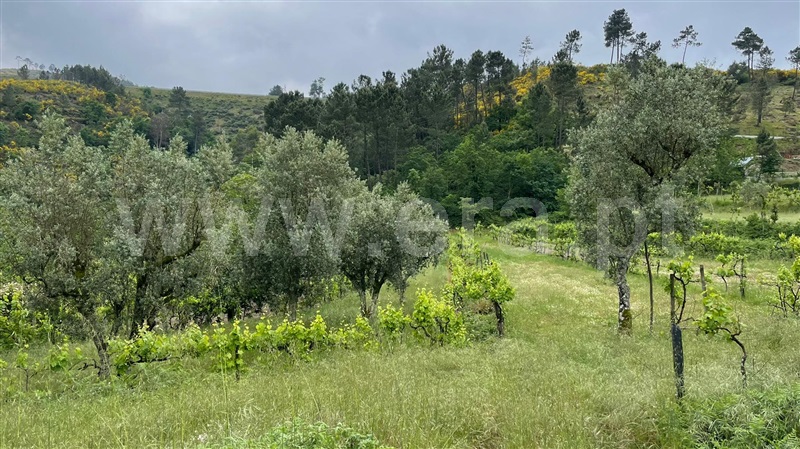 Terreno para Construção  Amarante, Aboadela, Sanche e Várzea - 835885 - 3