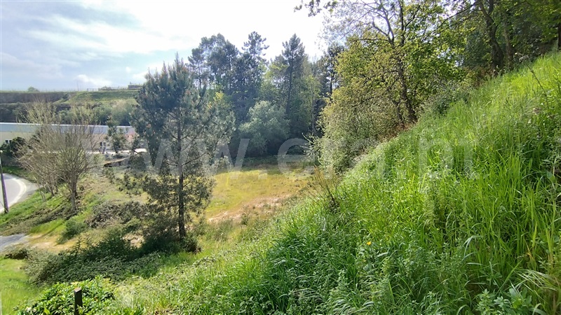 Terreno / Amarante, Amarante (São Gonçalo), Madalena, Cepelos e Gatão