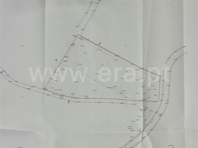 Terreno / Amarante, Amarante (São Gonçalo), Madalena, Cepelos e Gatão