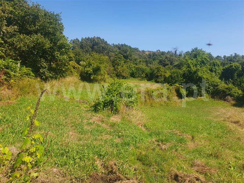 Terreno  Penafiel, Bustelo - 1345921 - 1