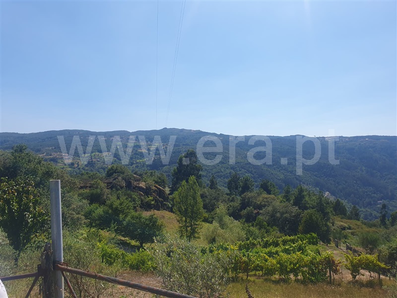 Terreno  Penafiel, Bustelo - 1345921 - 3