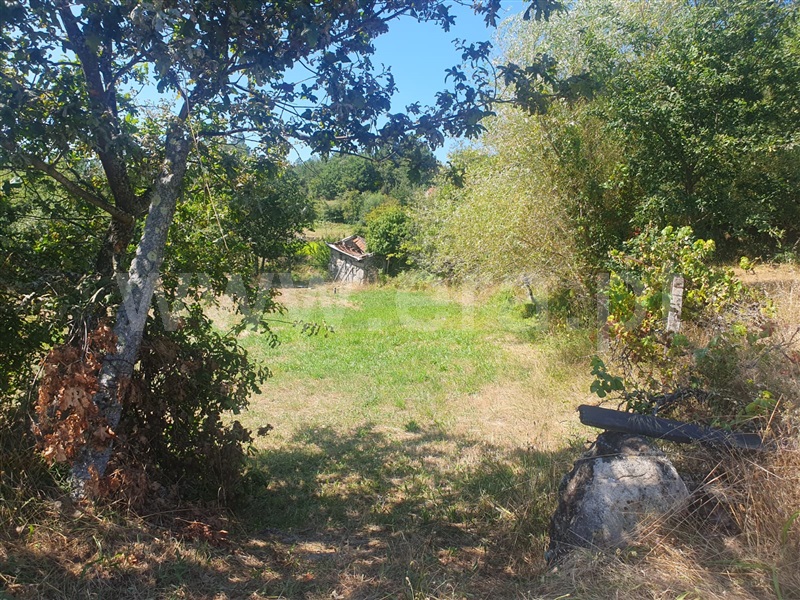 Terreno  Penafiel, Bustelo - 1345921 - 5
