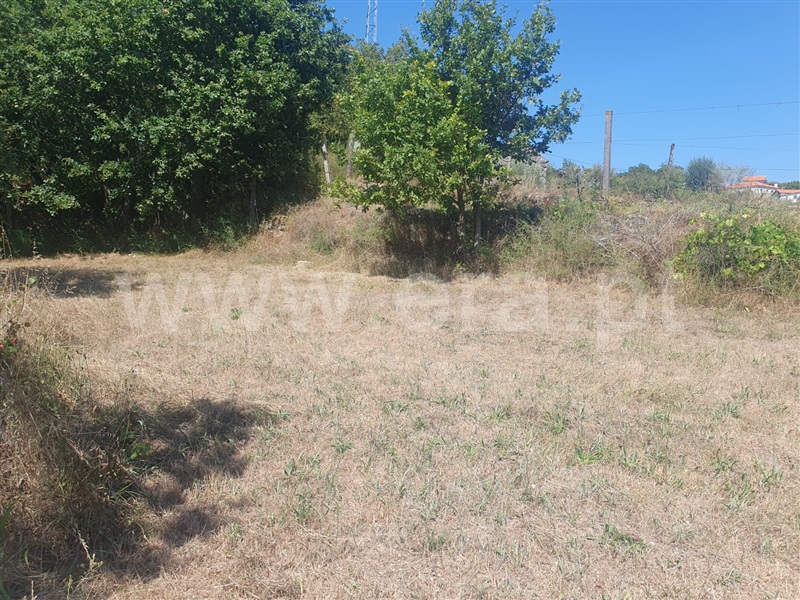 Terreno  Penafiel, Bustelo - 1345921 - 6