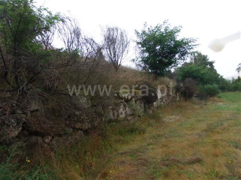 Terreno  Amarante, Bustelo, Carneiro e Carvalho de Rei - 595455 - 4