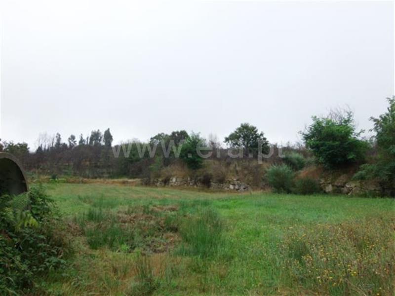 Terreno  Amarante, Bustelo, Carneiro e Carvalho de Rei - 595455 - 7