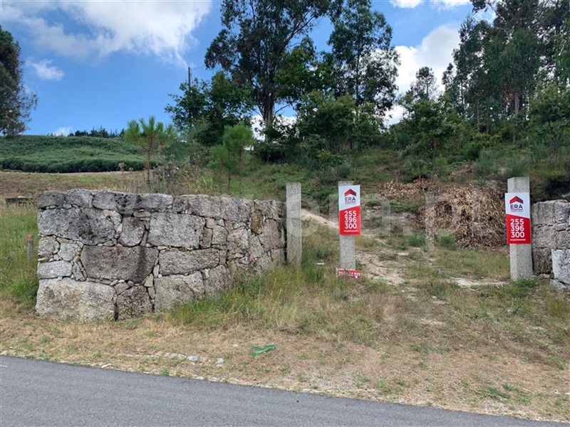 Terreno  Amarante, Bustelo, Carneiro e Carvalho de Rei - 664929 - 3