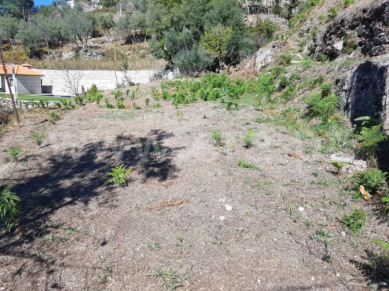 Terreno  Amarante, Candemil - 1277050 - 1