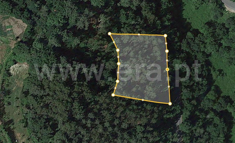 Terreno  Amarante, Candemil - 1379877 - 2