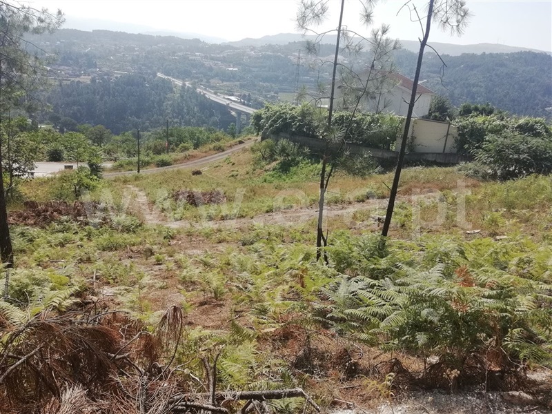 Terreno  Amarante, Fregim - 1026545 - 2
