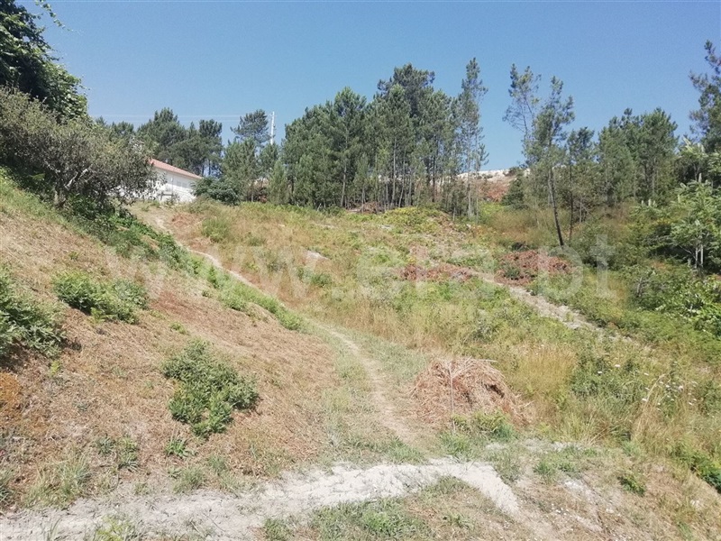 Terreno  Amarante, Fregim - 1026545 - 3