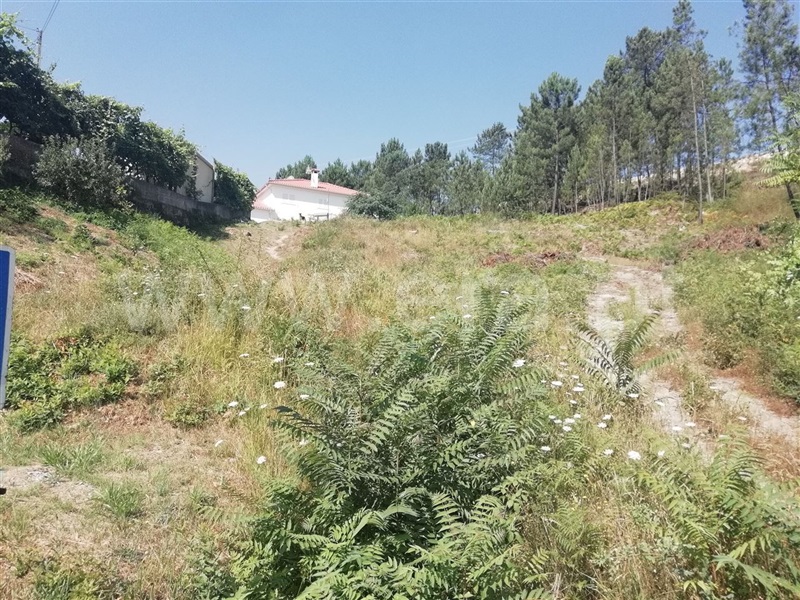 Terreno  Amarante, Fregim - 1026545 - 4