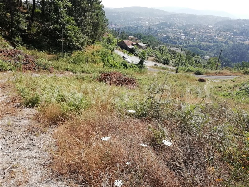 Terreno  Amarante, Fregim - 1026545 - 5
