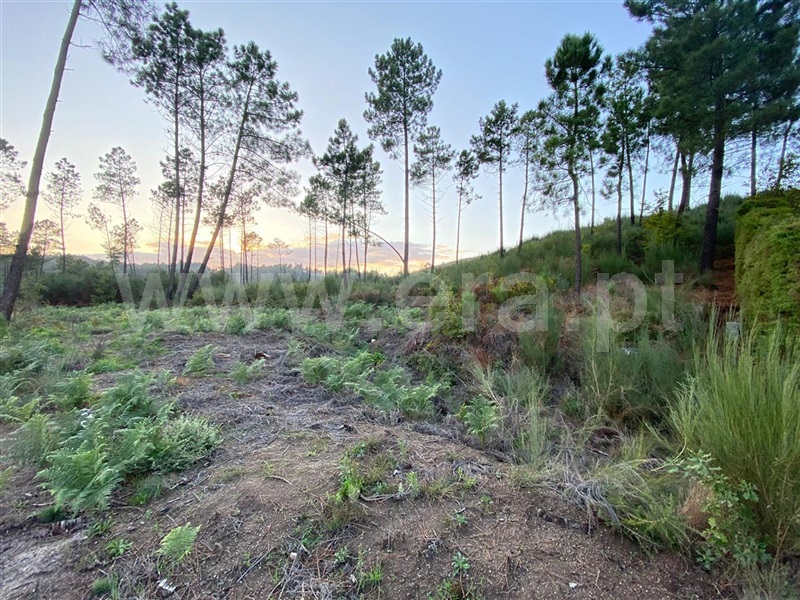 Terreno  Amarante, Fregim - 1129472 - 2