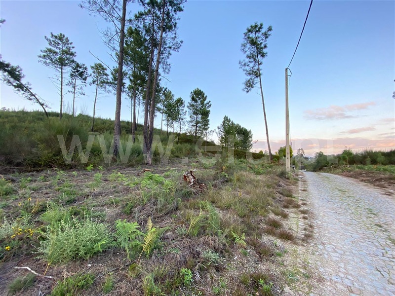 Terreno  Amarante, Fregim - 1129472 - 4