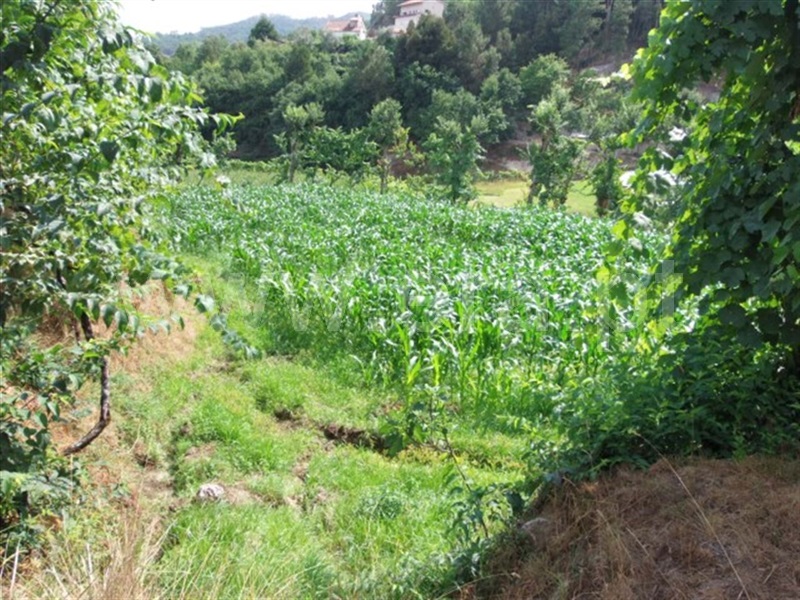Terreno  Amarante, Fregim - 1260560 - 4