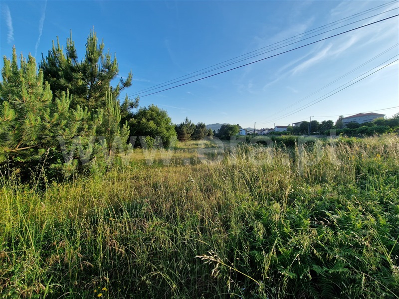 Terreno  Amarante, Fregim - 1408622 - 5