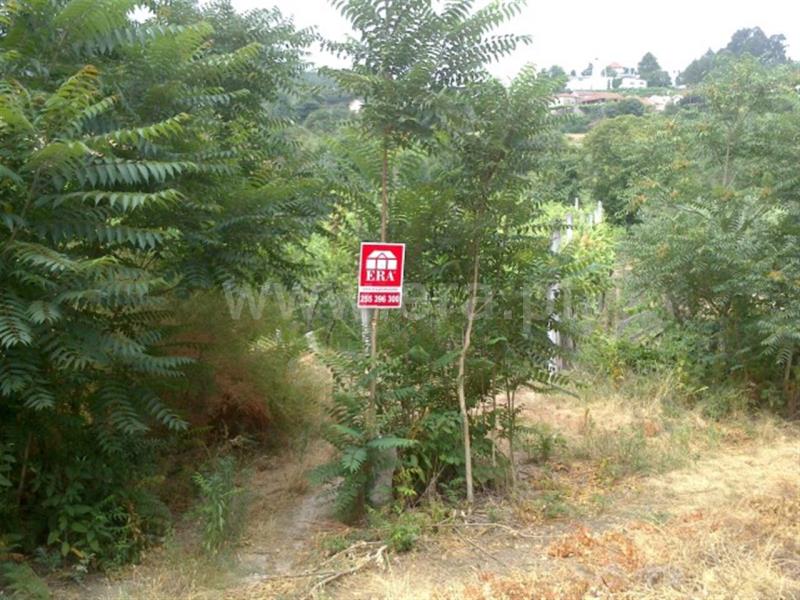 Terreno  Amarante, Fregim - 666832 - 2