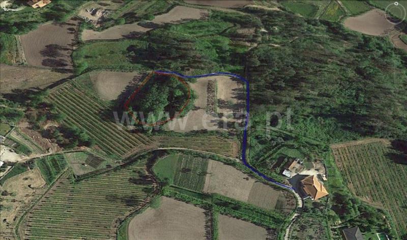 Terreno  Amarante, Fregim - 666832 - 3