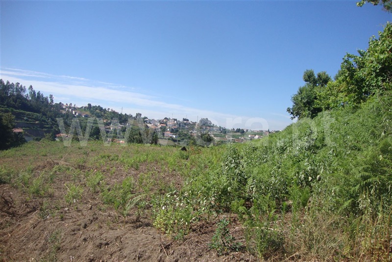 Terreno / Amarante, Freixo de Cima e de Baixo